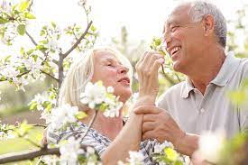 Eastern Beauties: A SakuraDate Review Eastern Beauties: A SakuraDate Review