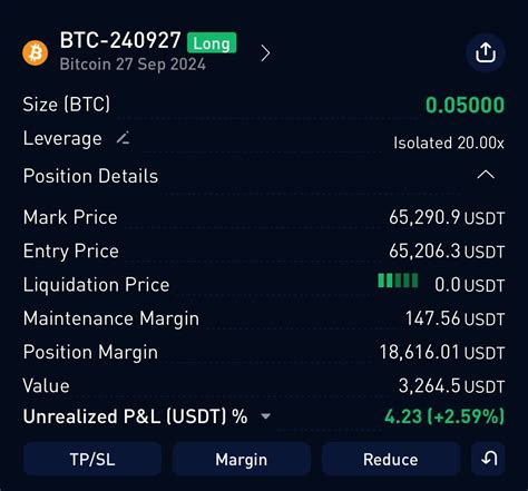 Futures, Isolated Margin, Bitcoin (BTC)
