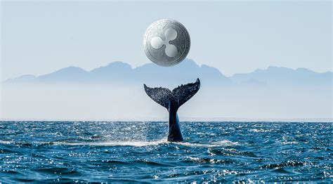 Ethereum: How much time it takes to verify a Bitcoin signature in the Satoshi client?
