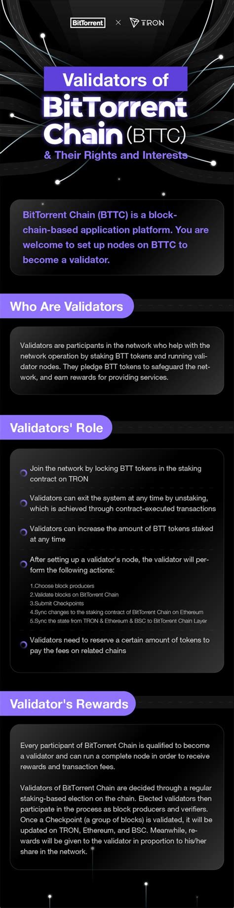 Validator Nodes: Their Role